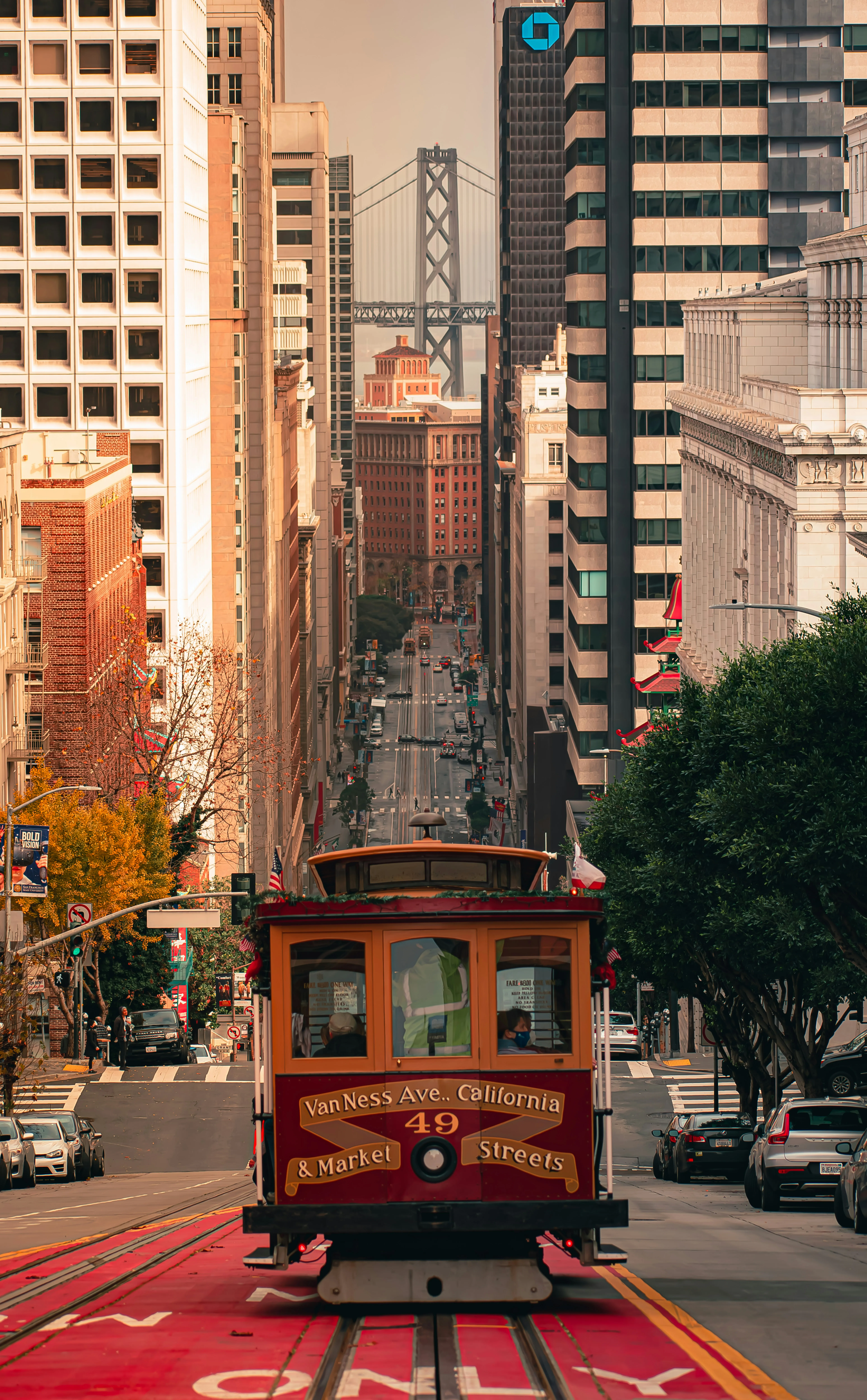 Photo from the internet