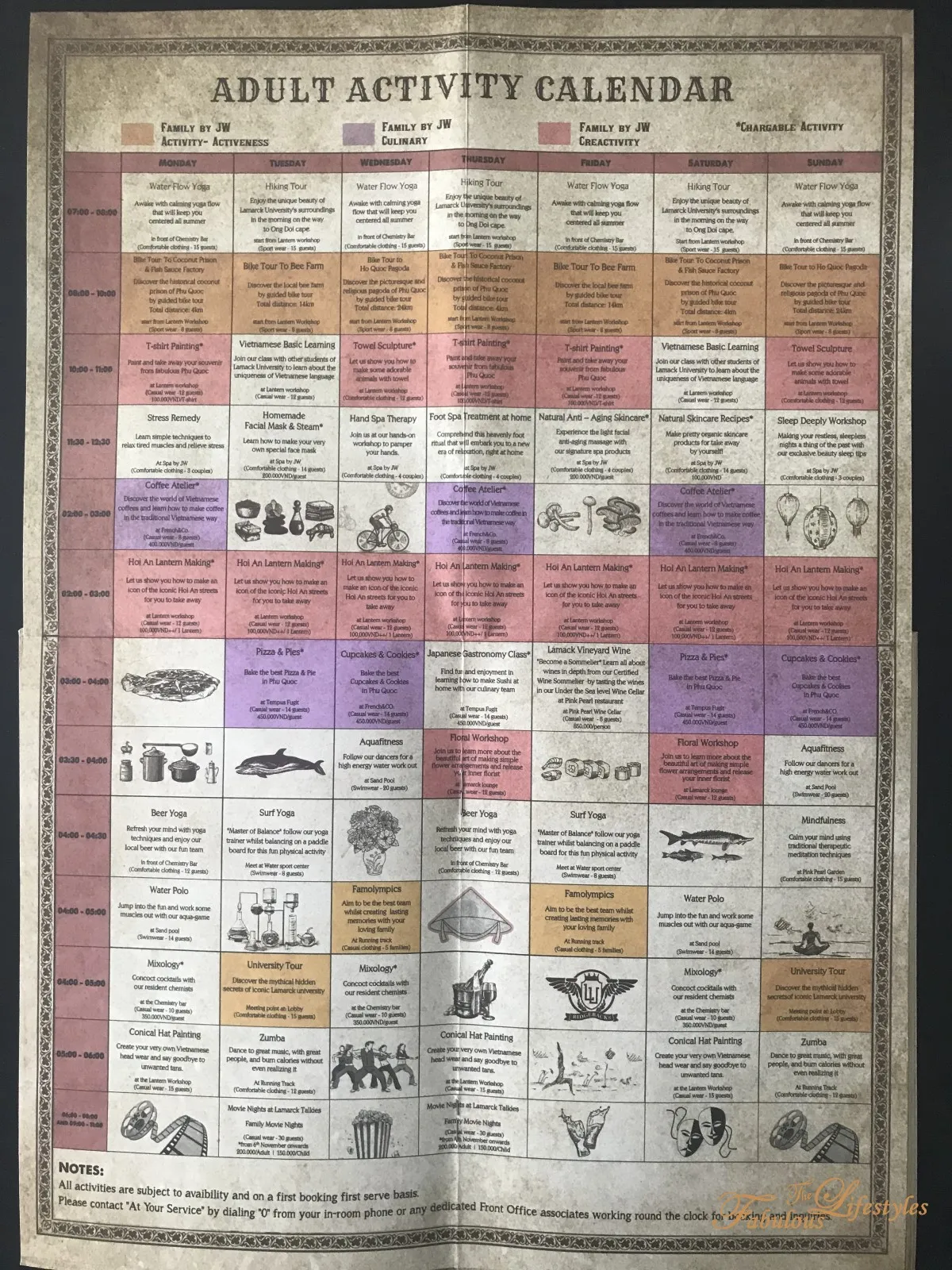 Adults' Activity Schedule