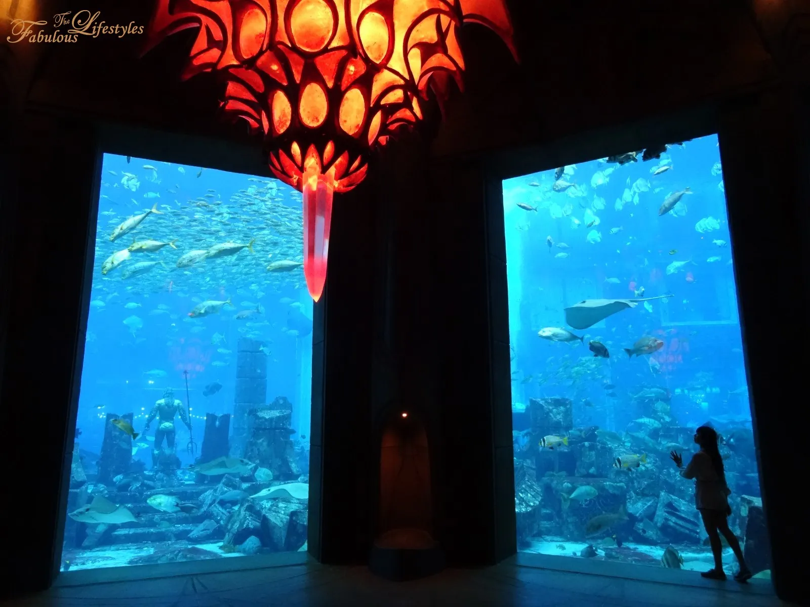 Atlantis Aquarium