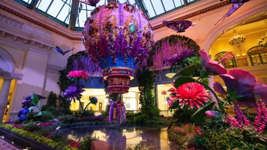 Photo from official site – 2024 Summer Theme