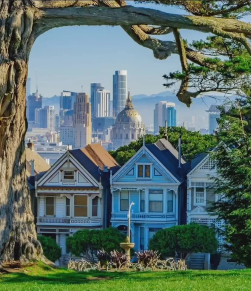 source from IG George Horsfall (@bluepaintedladyhousetour)