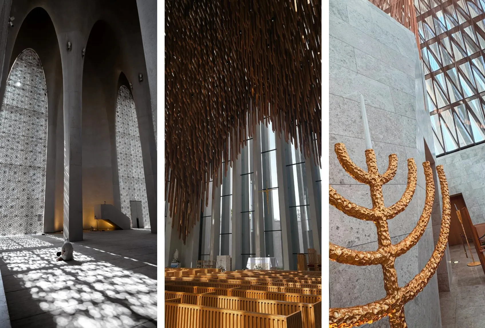 Photo from official FB