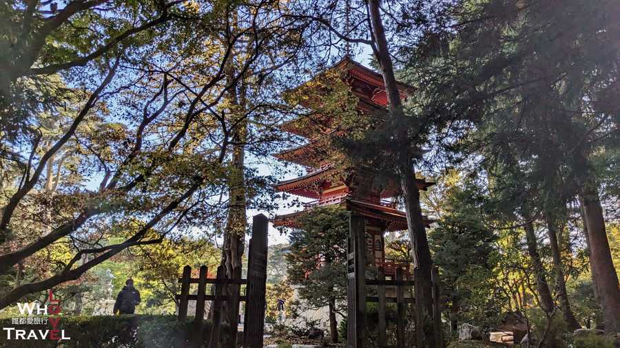 20 san francisco japanese tea garden
