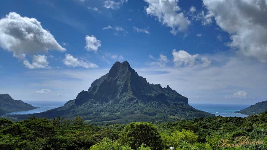 10 moorea atv